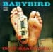 Baby Bird MIDIfile Backing Tracks