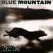 Blue Mountain MIDIfile Backing Tracks