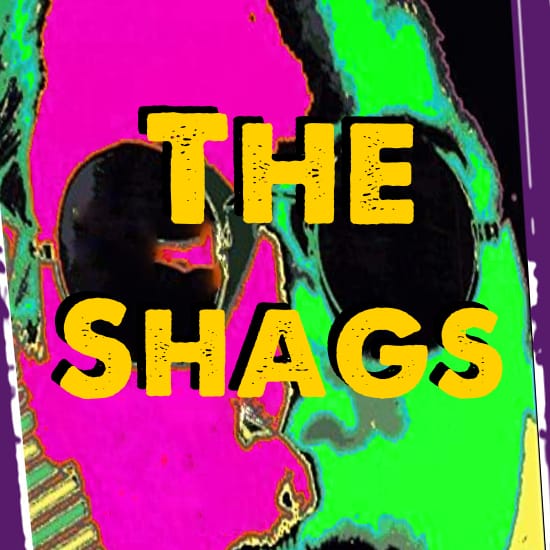 You're A Loser The Shags midi file backing track karaoke You're A Loser The Shags midi file backing track karaoke