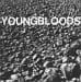 Youngbloods MIDIfile Backing Tracks